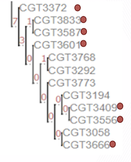 Figure: Pipeline