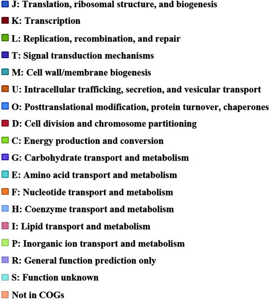 COG Functional Categories