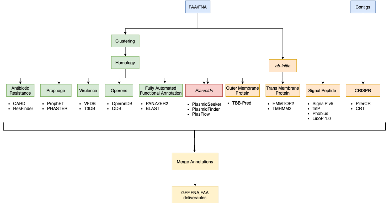 Initial Pipeline