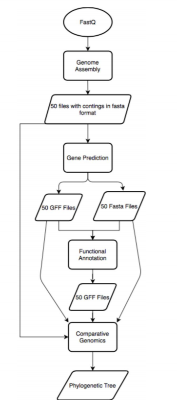 Figure: pipeline