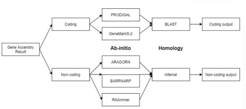 Figure: pipeline