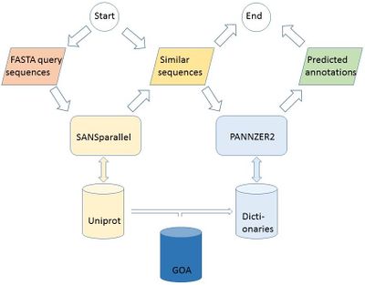 PANNZER2 Algorithm