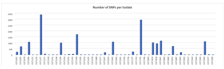 Figure 12: SNP Analysis