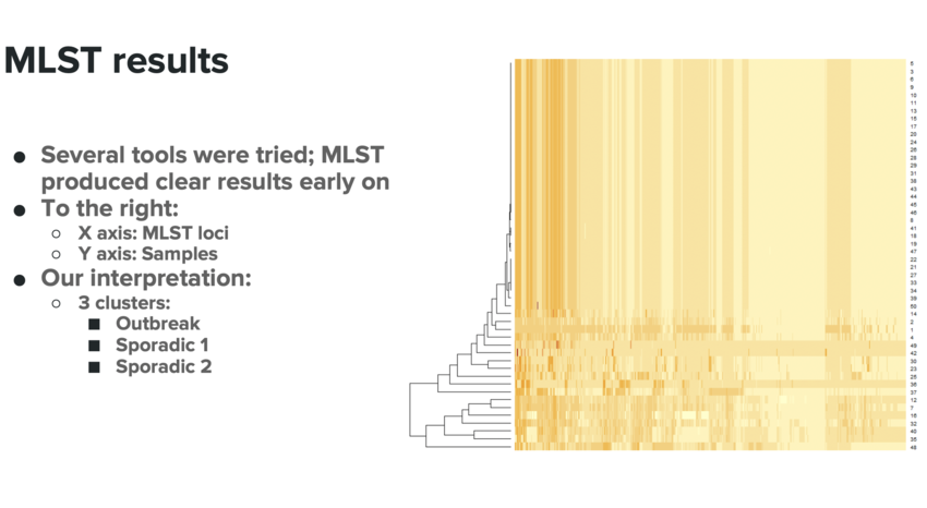 Figure 10: MLST results