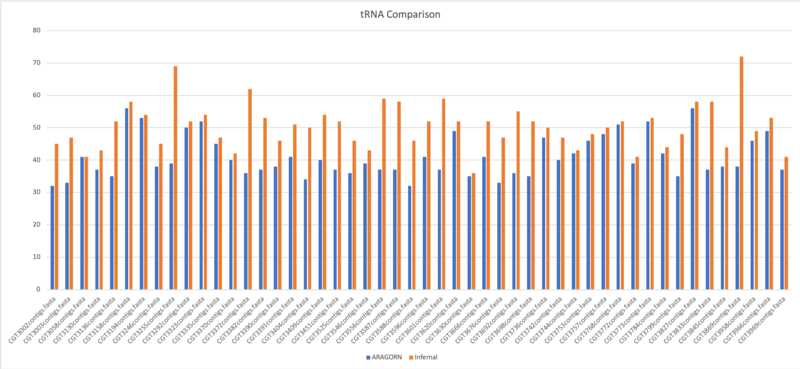 Results: Non-Coding