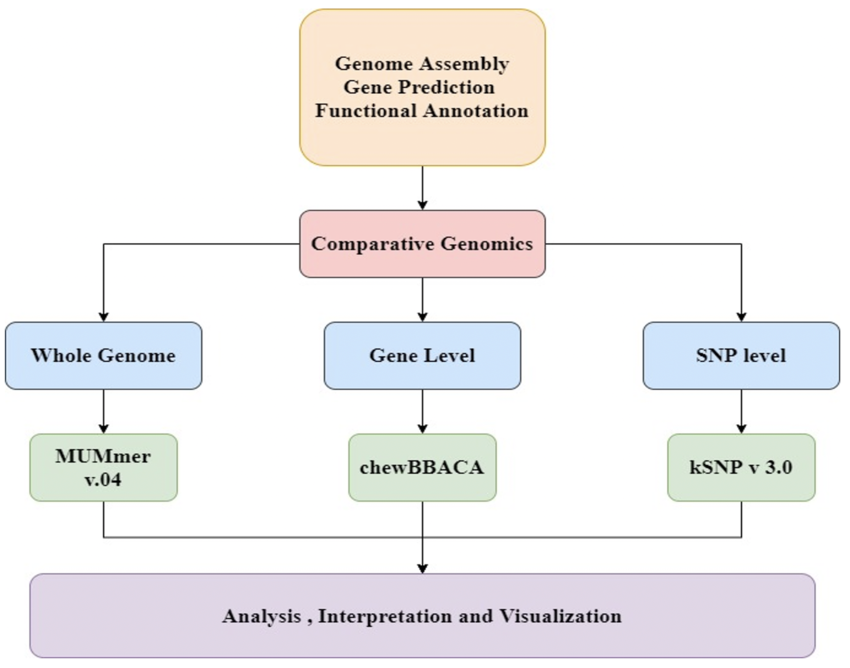 Figure 13: Final Pipeline for Comparative Genomics Analysis