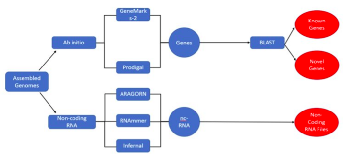 Final Pipeline