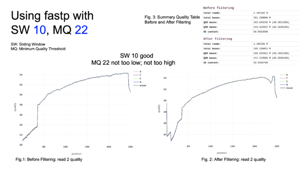 Optimal sliding window and minimum quality score parameters for our analysis