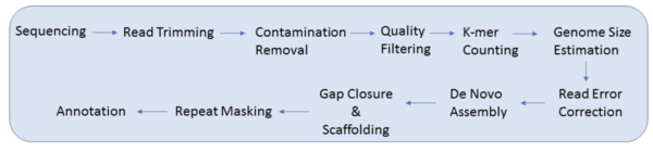 Genome Assembly Overview