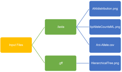 Figure: Comparative_genomics_workflow