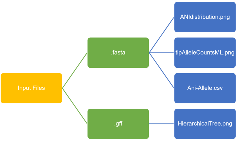 Figure: Comparative_genomics_workflow