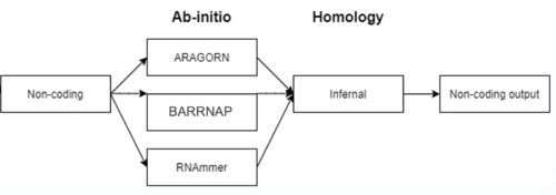 Non-Coding RNA