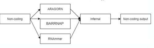 Non-Coding RNA